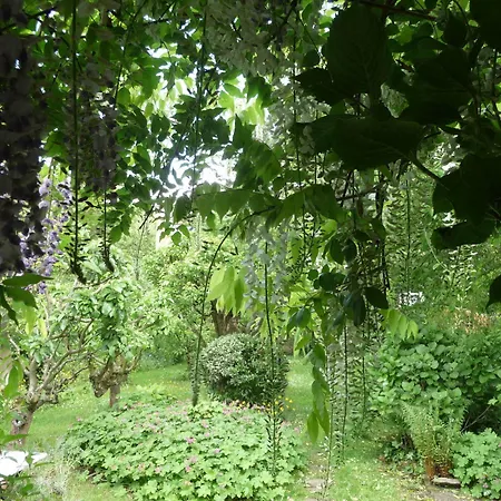 Alojamento de Acomodação e Pequeno-almoço Au Troubadour Lille
