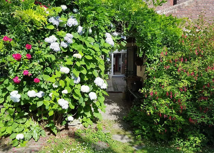 Bed & Breakfast Au Troubadour 3*